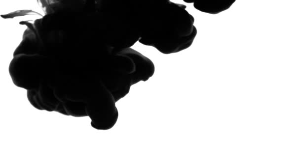Czarny tusz dymu przejścia - animacja przejścia przypominające tusz lub dymu. Czarny biały Abstrakcja w postaci dymu — Wideo stockowe