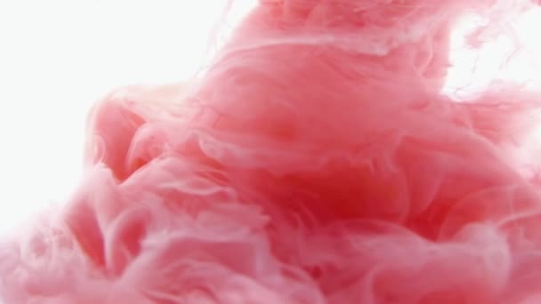 Κόκκινο και άσπρο χρώμα μελάνι σταγόνες σε νερό αργή κίνηση βίντεο λευκό φόντο με αντίγραφο χώρο. Inky σύννεφο στροβιλίζεται Αφηρημένη απομονωμένη έκρηξη καπνού — Αρχείο Βίντεο