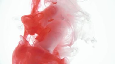 Kırmızı ve beyaz renkli mürekkep yavaş çekim beyaz arka planda fotokopi alanı ile suya düşer. Inky bulut girdabı soyut izole duman patlaması
