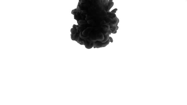 Ink Smoke Transition - Transition animation resembling ink or smoke. Black and white abstraction in the form of smoke — Stock Video