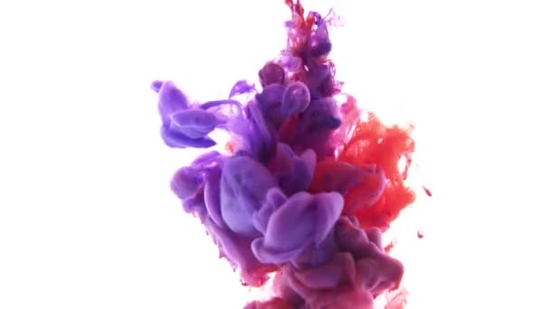 Couleurs Rouge Bleu Nuage Peinture Sur Fond Blanc — Video