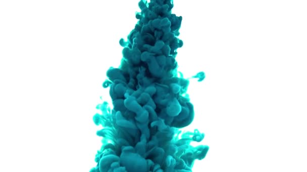 Blue ink in water. Creative slow motion. On a white background, abstraction video — Stock Video