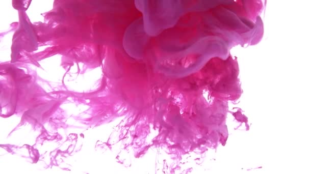 Tinta rosa caída en el agua sobre fondo blanco — Vídeo de stock