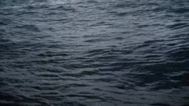 Ağır çekim sinek rahatsız okyanus su yüzey üzerinde,