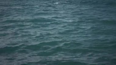 Ağır çekim sinek rahatsız okyanus su yüzey üzerinde,