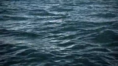 Ağır çekim sinek rahatsız okyanus su yüzey üzerinde,