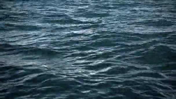 Vol au ralenti au-dessus de la surface perturbée de l'eau ,