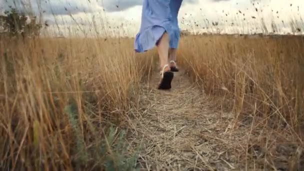 Primo piano di piedi donna che corrono attraverso il campo, rallentatore . — Video Stock