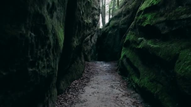 Un passaggio in pietra nella foresta all'aria aperta su un terreno collinare, scalare una montagna. Tempo nuvoloso in una fitta foresta verde . — Video Stock