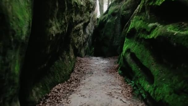 Un passaggio in pietra nella foresta all'aria aperta su un terreno collinare, scalare una montagna. Tempo nuvoloso in una fitta foresta verde . — Video Stock