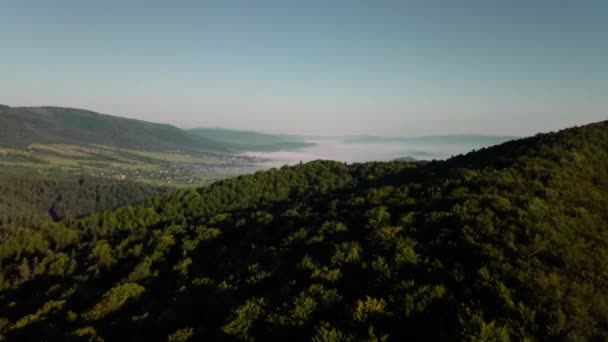 山の上を飛ぶピーク、日没、森の上を飛ぶ山、ドブッシュ空中、岩の上を飛ぶ, — ストック動画