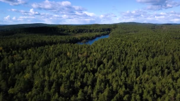 Légi drone lövés, mint az észak-európai erdő. Shot 4k — Stock videók