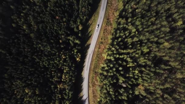 Vista aérea voando sobre estrada de asfalto com árvores verdes de madeiras densas crescendo ambos os lados . — Vídeo de Stock