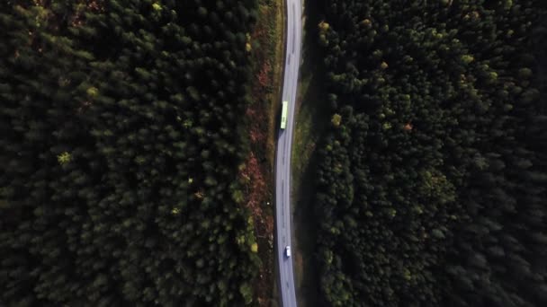 Vue aérienne survolant la route asphaltée avec des arbres verts de bois denses poussant des deux côtés .