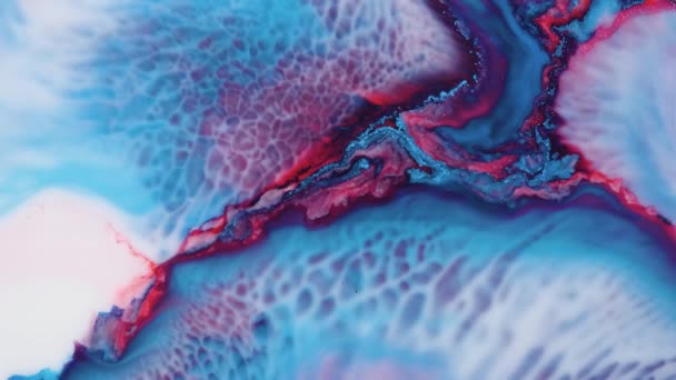 Miscelazione di vernici acriliche in liquido. Macro . — Video Stock