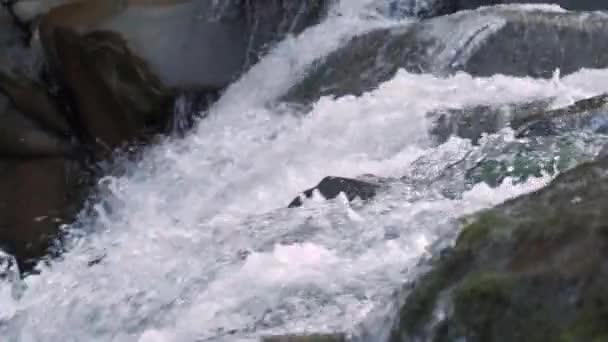 Raging Mountain river. Wildness of clean, clear water in the mountain river. Slow Motion — Stock Footage Raging Mountain river. Wildness of clean, clear water in the mountain river. Slow Motion Royalty Free Stock Video