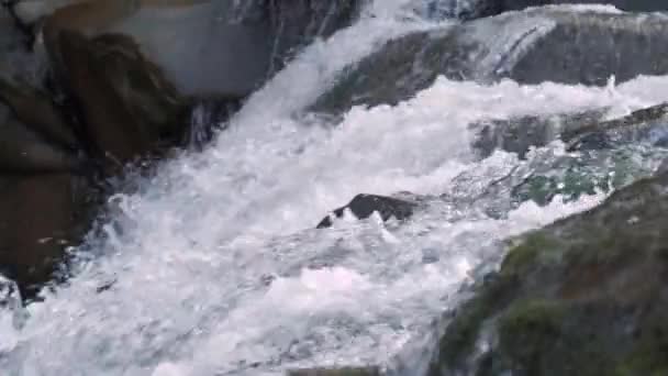 Tobender Gebirgsfluss. Wildheit sauberen, klaren Wassers im Gebirgsfluss. Zeitlupe — Stockvideo