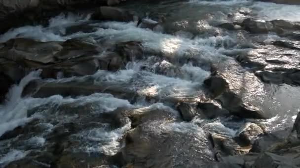 Schöner kleiner Wasserfall im Wald — Stockvideo