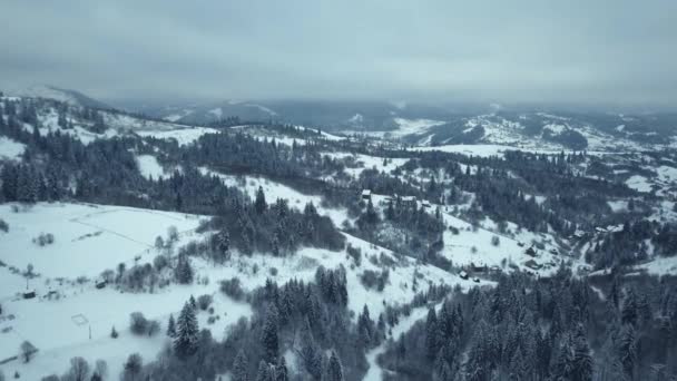 Вид з повітря на зимове село. Гілка сніжного дерева з видом на зимовий ліс . — стокове відео