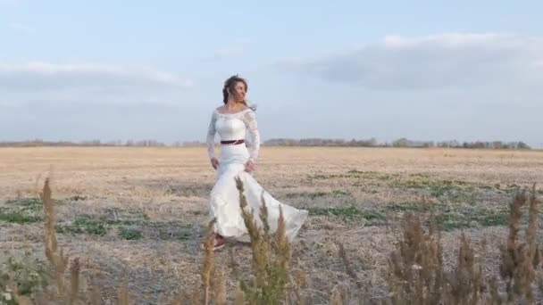 Jovem casal feliz de mãos dadas correr através de um amplo campo, se divertindo ao ar livre. No campo. Homem e mulher a correr no prado. Feliz família alegre ao ar livre. Um clarão solar. Movimento lento Full HD 1080p — Vídeo de Stock