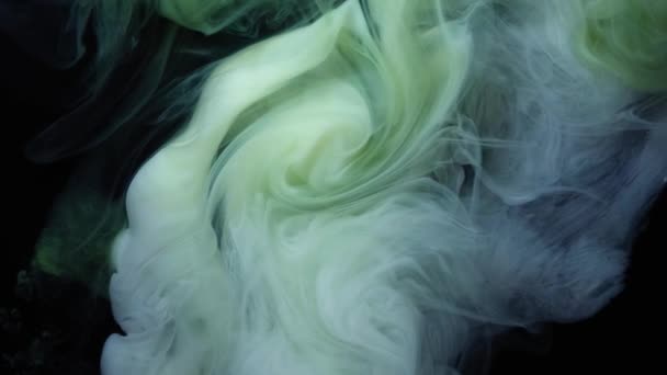 Grüne und weiße Tinte in water.creative slow motion. auf schwarzem Hintergrund. — Stockvideo