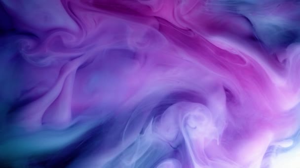 Vivid colorful purple blue pink of acrylic paint drop motion texture background for abstract concept. — Stock Video