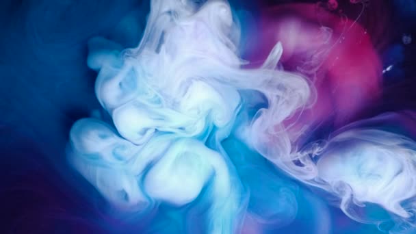 Živé barevné bílá modrá růžová Akrylová barva pokles pohybu texturu pozadí pro abstraktní pojem. — Stock video