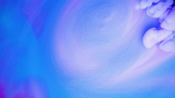 Vivid colorful purple blue pink of acrylic paint drop motion texture background for abstract concept. — Stock Video