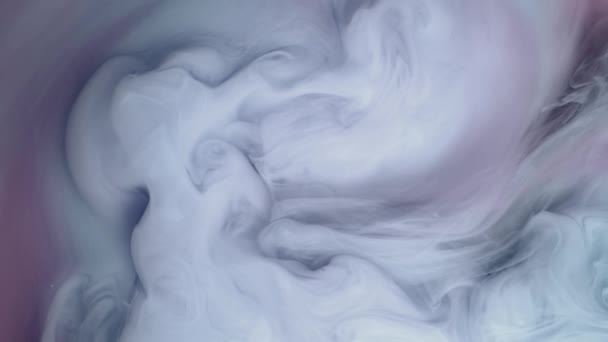 Peinture Blanche Nuage Pulvérisation Sur Fond Blanc — Video