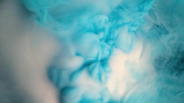 Witte en blauwe abstracte inkt gemengd in water. — Stockvideo