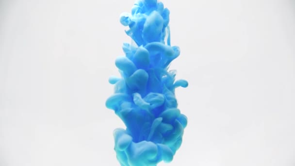 水の青インク。創造的なスローモーション。白い背景に. — ストック動画