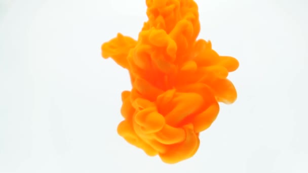 Orangefarbene Tinte in water.creative slow motion. auf weißem Hintergrund — Stockvideo