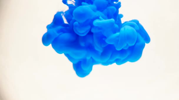 물에 파란색 잉크입니다. 창의적인 슬로우 모션입니다. 흰색 바탕에. — 비디오