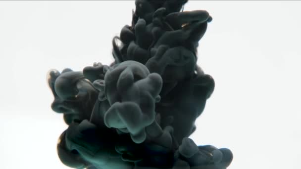 Black cloud ink on a white background. — Stock Video