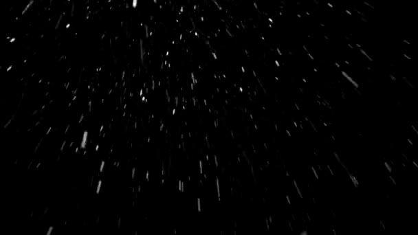 Partículas naturales de nieve. fondo negro — Vídeo de stock