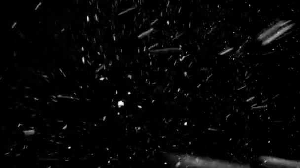 Partículas naturais de neve. fundo preto — Vídeo de Stock