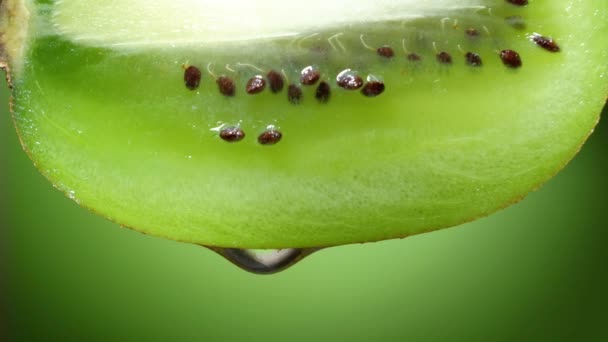 Close-up of macro van een segment voor kiwi, een druppel water valt in slow motion. — Stockvideo