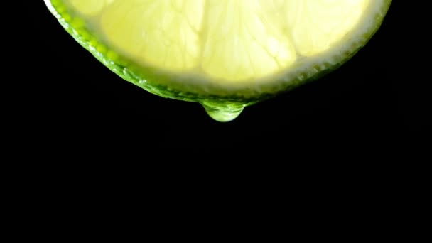 Fresh slice lime, a drop of water falls. Black background — Stock Video