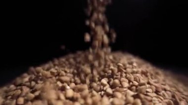 Karabuğday kabuğu çıkarılmış tane Buğday yığını dökülür