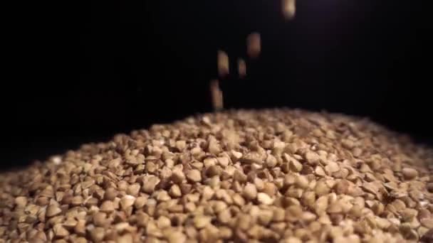 Grumos de trigo mourisco são derramados em uma pilha de trigo mourisco — Vídeo de Stock