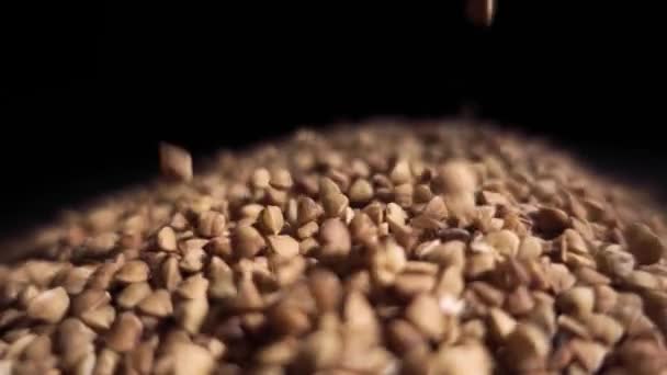 荞麦的腹股沟被倒进一堆荞麦里 — 图库视频影像