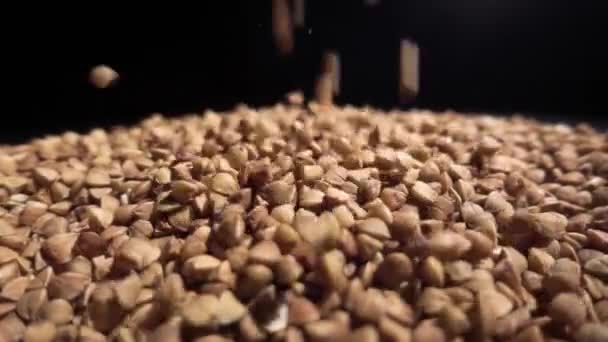 Grumos de trigo mourisco são derramados em uma pilha de trigo mourisco — Vídeo de Stock