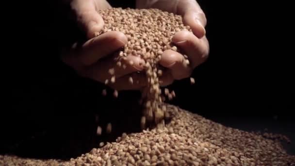 Female hands pours buckwheat grain. Slow motion — Stock Video