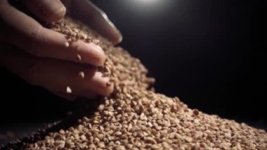 Eller buğday tahıl dökülen. Ağır çekim