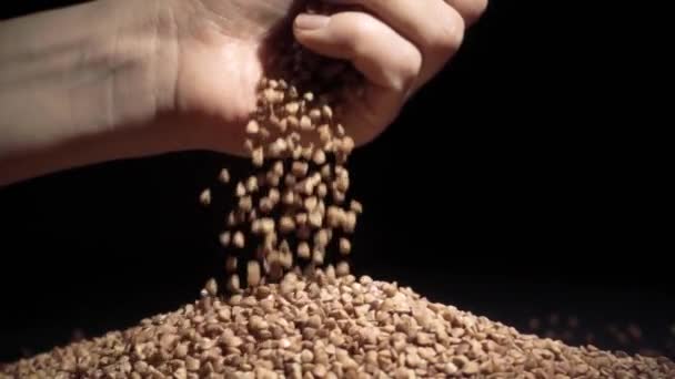 Las manos femeninas vierten grano de trigo sarraceno. Movimiento lento — Vídeos de Stock