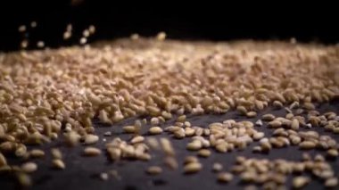 Kepekli pearl arpa veya yukarıdan siyah arka plan üzerine düşen buğday yığını. Tarım closeup makro gıda ham tohum.