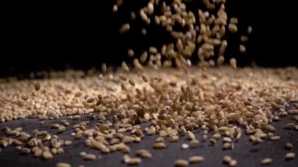 Pilha de integral de cevada de pérola ou trigo que cai de cima sobre fundo preto. Agricultura close-up macro alimentos sementes cruas . — Vídeo de Stock