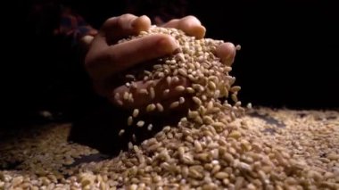 Pearl çuval bezi üzerinde dökülmesini arpa