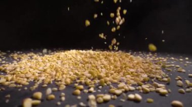 Kuru bezelye bir tablo, siyah arka plan üzerine dökülür.