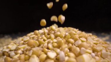 Kuru bezelye bir tablo, siyah arka plan üzerine dökülür.